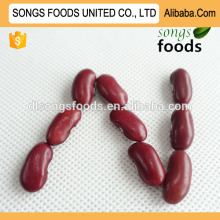 Shanxi High Quality Type of Red Kidney Beans